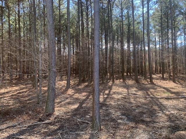 Lot 30 Crow Road Dalton, GA 30721 - Photo 2 of 4 IMG_7562