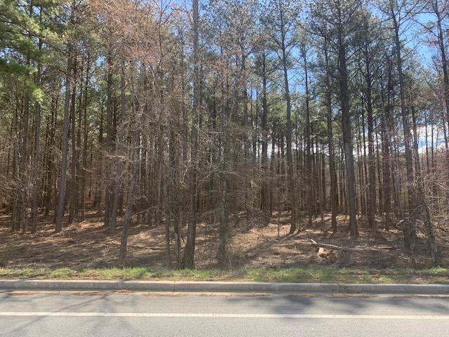 Lot 30 Crow Road Dalton, GA 30721 - Photo 3 of 4 IMG_7567