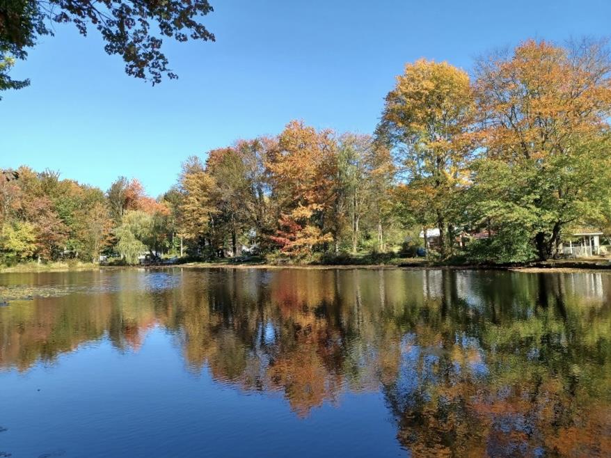10 Kizer Pond Road Lake Ariel, PA 18436 - Photo 48 of 48 Reflecting the autumn foliage, this tranquil lakeside setting offers picturesque water views.