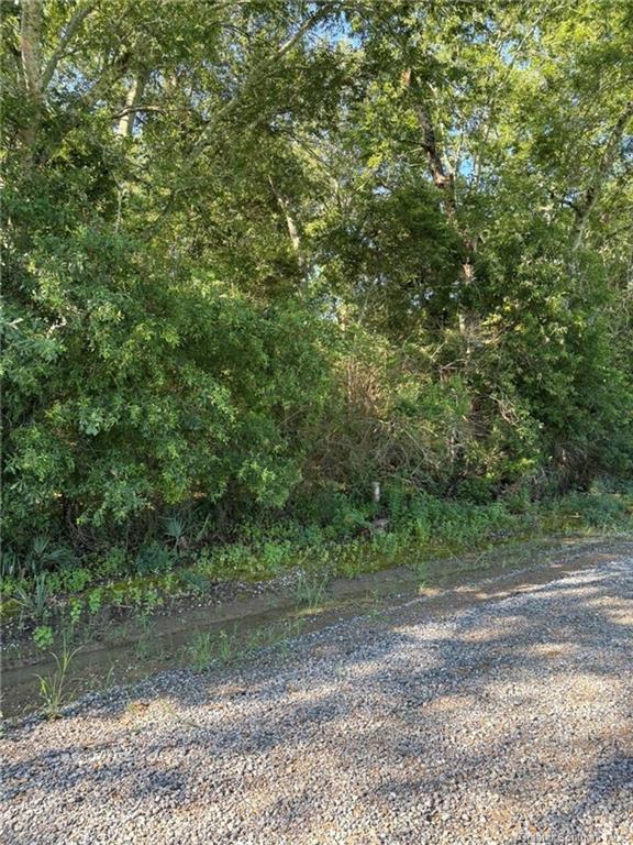 0 Gary Road Road Jennings, LA 70546 - Photo 3 of 10 Gallery Image 3