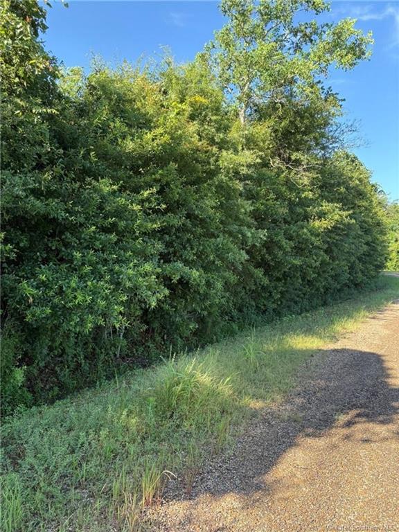 0 Gary Road Road Jennings, LA 70546 - Photo 4 of 10 Gallery Image 4