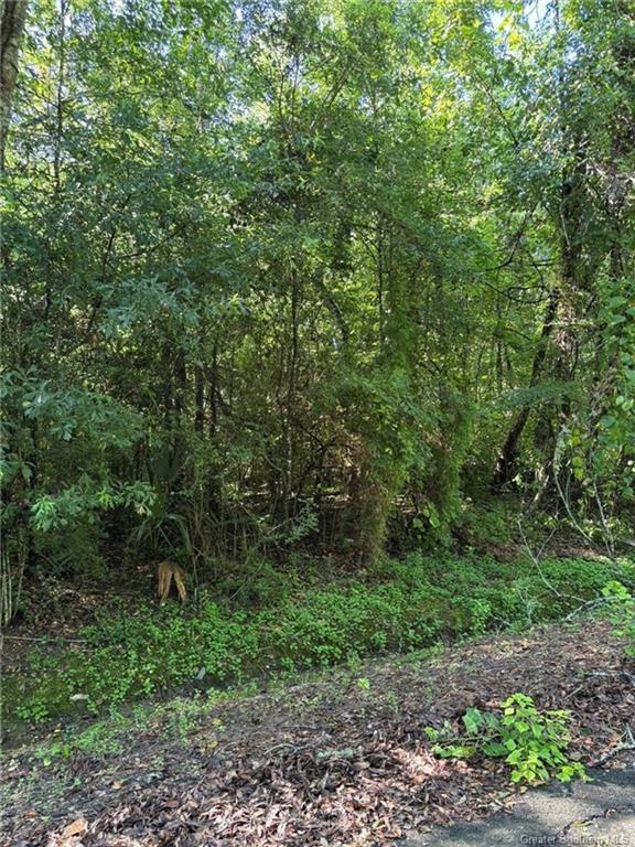 0 Gary Road Road Jennings, LA 70546 - Photo 8 of 10 Gallery Image 8