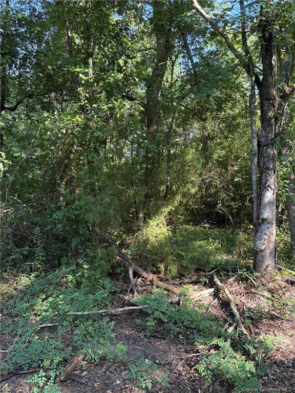 0 Gary Road Road Jennings, LA 70546 - Photo 9 of 10 Gallery Image 9