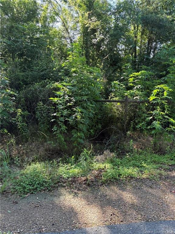 0 Gary Road Road Jennings, LA 70546 - Photo 10 of 10 Gallery Image 10