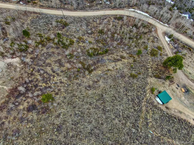 a view of a dry yard with large trees