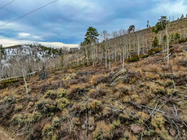 a view of a dry yard