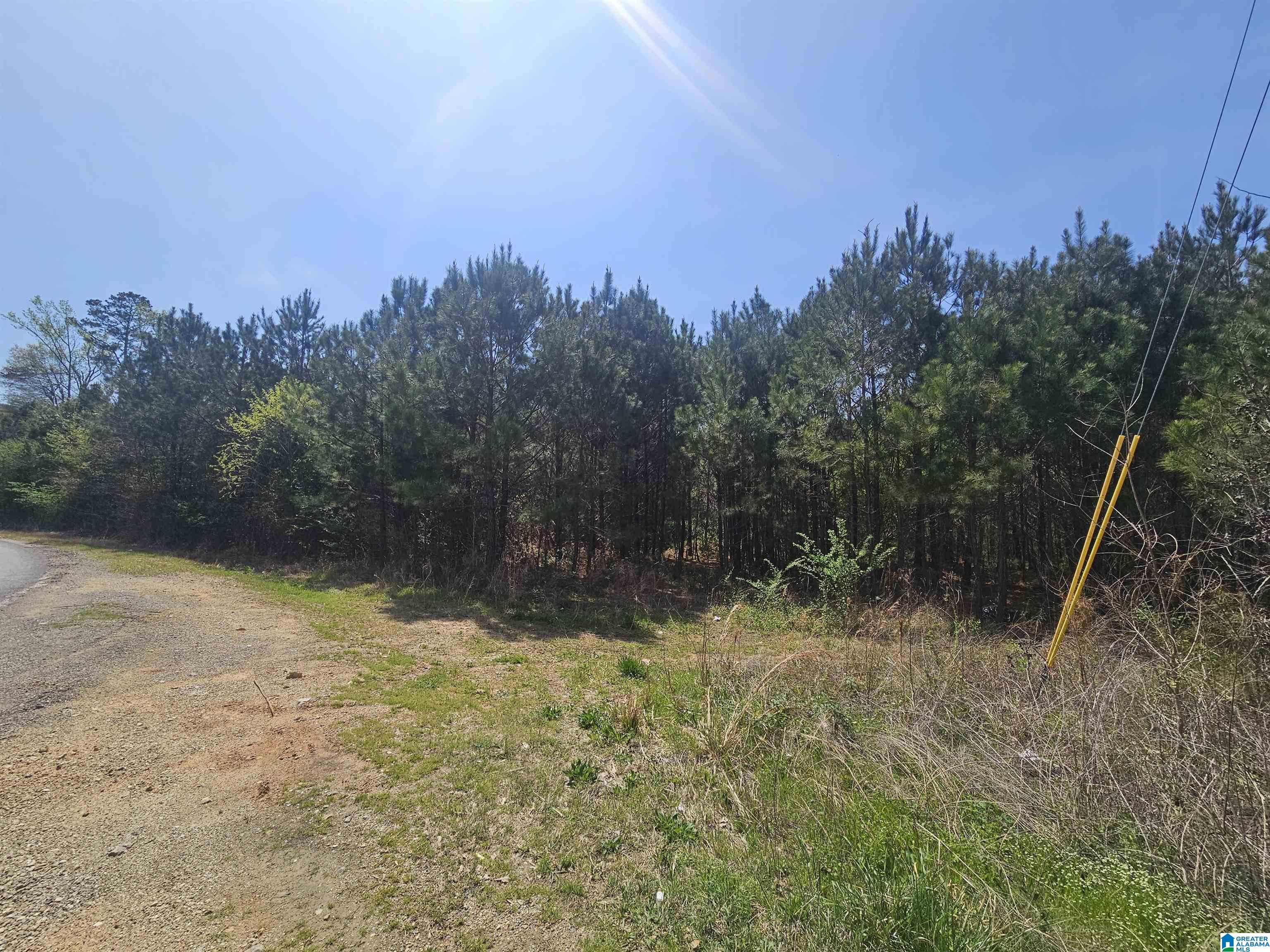 0 Trails End Road Leeds, AL 35094 - Photo 5 of 5 Gallery Image 5