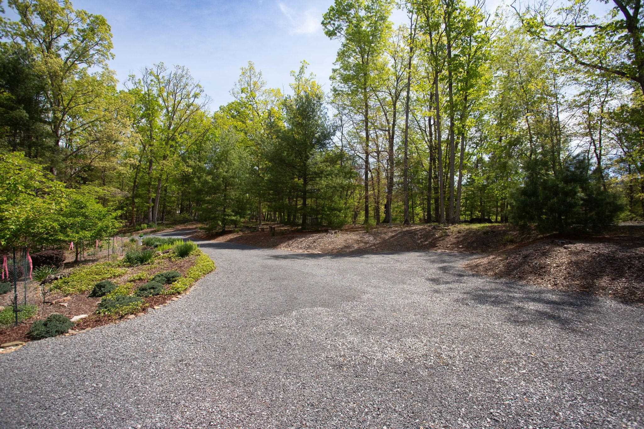 324 Mountaintop Drive Mathias, WV 26812 - Photo 19 of 27 Lane into property.