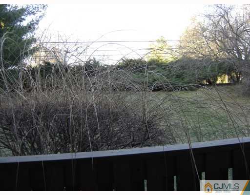 2015 Aspen Drive Plainsboro, NJ 08536 - Photo 6 of 7 a view of mountain view from window