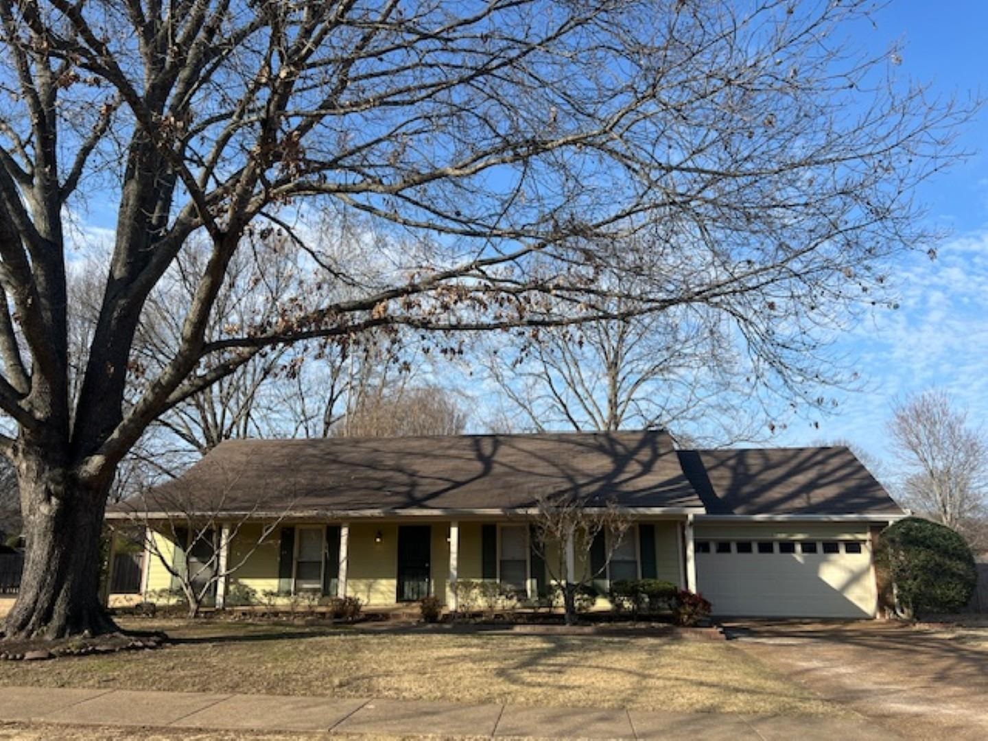 a view of a white house with a large tree next to a yard