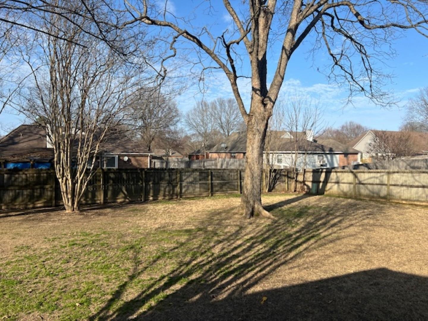 290 Rose Trellis Road Collierville, TN 38017 - Photo 16 of 17 a view of outdoor space yard and patio