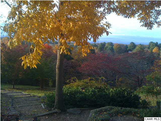 1747 Lambs Road Charlottesville, VA 22901 - Photo 21 of 24 a view of a yard in a garden