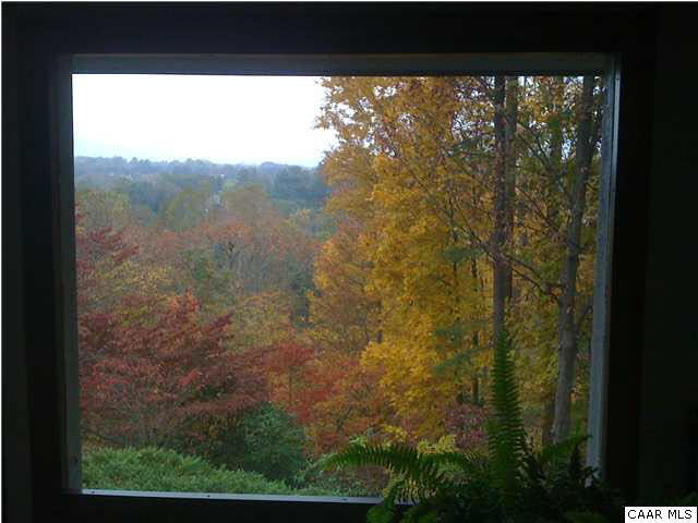 1747 Lambs Road Charlottesville, VA 22901 - Photo 24 of 24 a view of a yard from a window