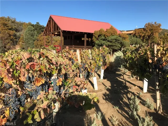 a view of a back yard