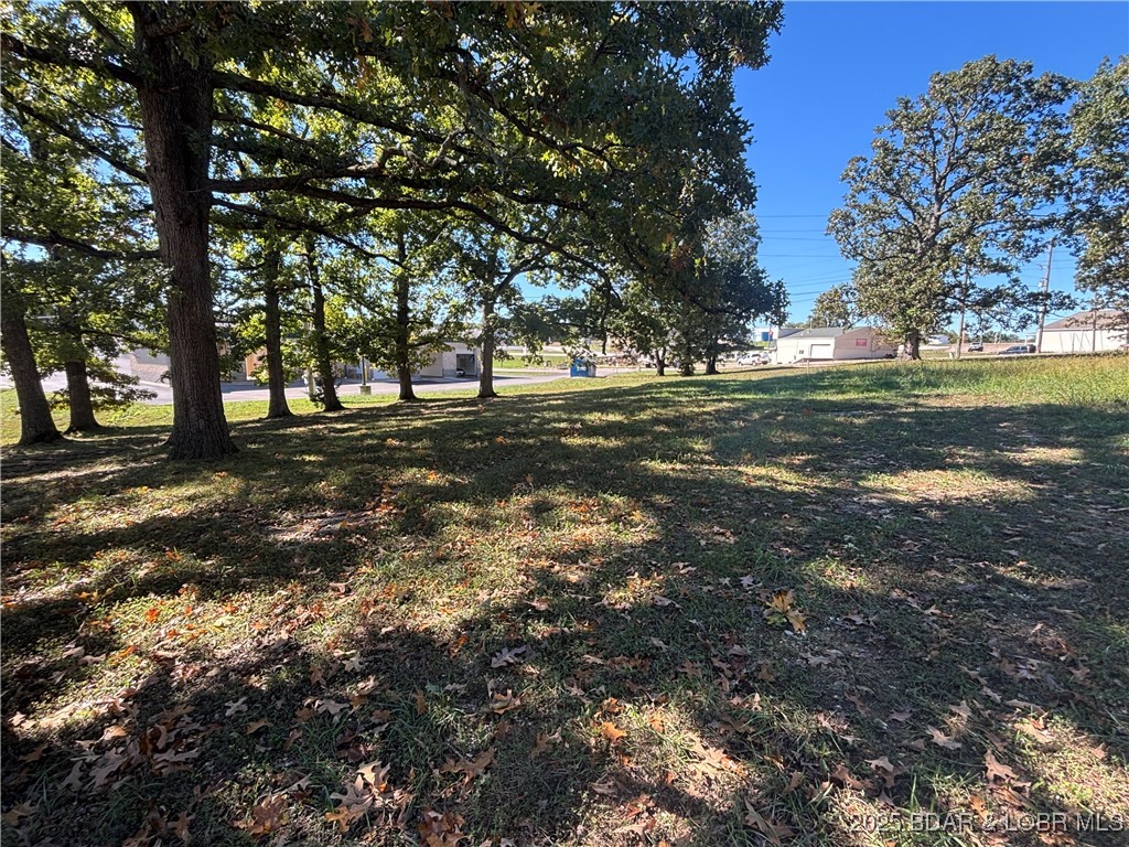 Tbd Fairgrounds Road Gravois Mills, MO 65037 - Photo 8 of 11