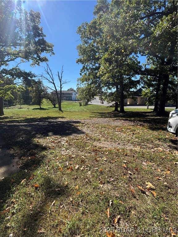 Tbd Fairgrounds Road Gravois Mills, MO 65037 - Photo 9 of 11