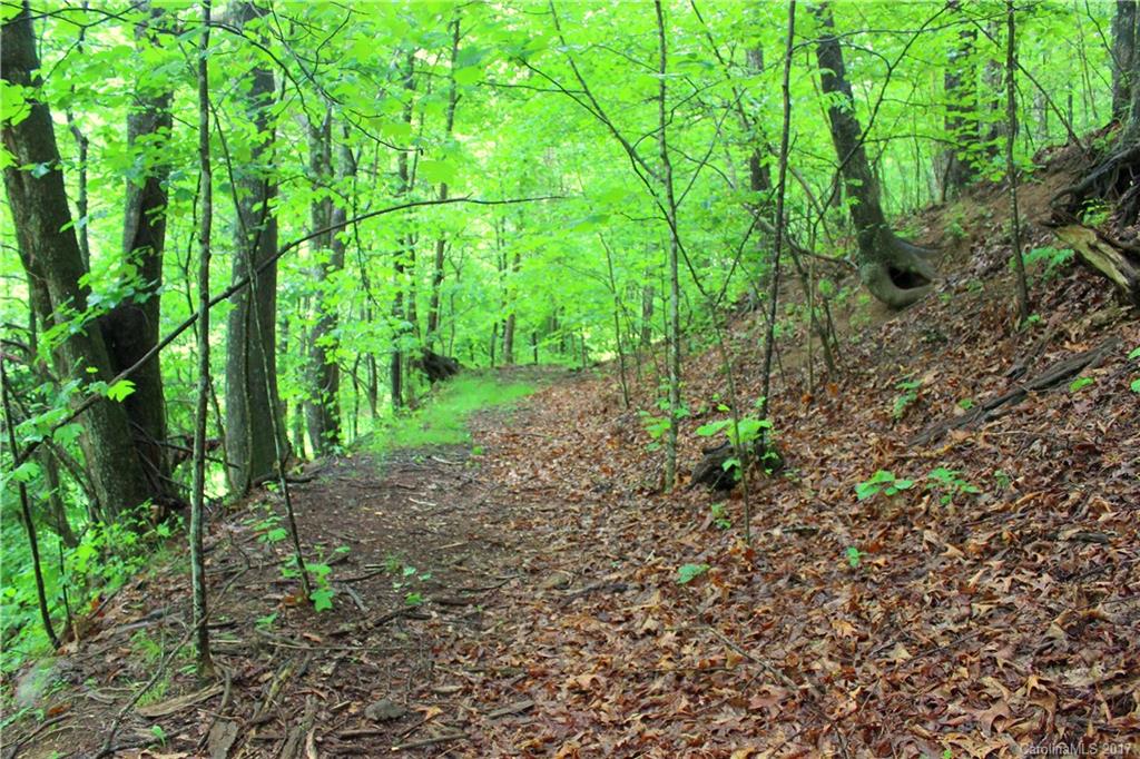 1050 Panther Branch Road Hot Springs, NC 28743 - Photo 22 of 24 Gallery Image 22