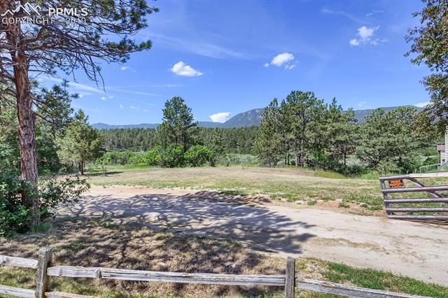 302 Raspberry Lane Monument, CO 80132 - Photo 30 of 31