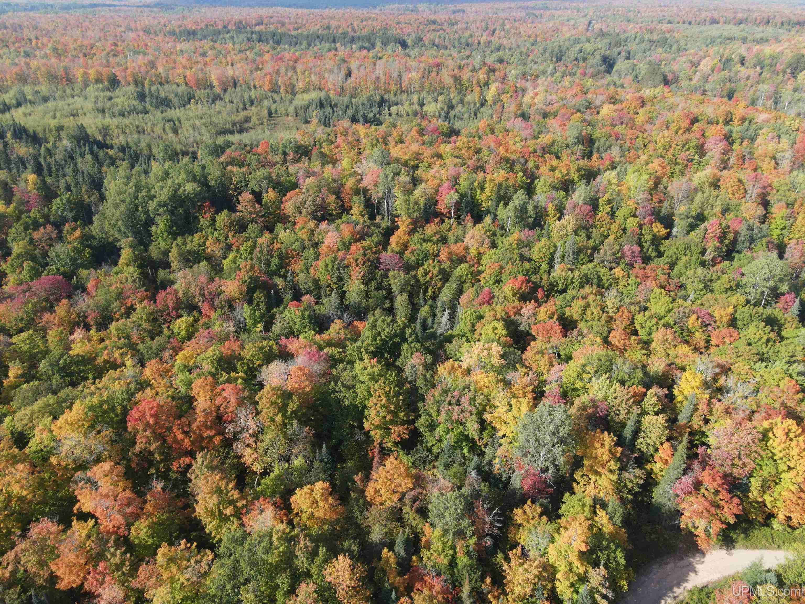 Tbd Newberry Road Nisula, MI 49952 - Photo 1 of 24 Gallery Image 1