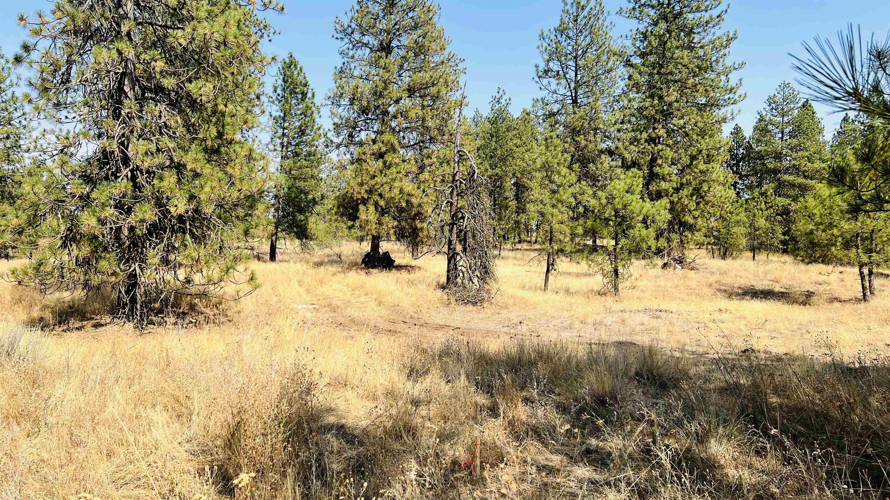Xxx West Brooks Road Medical Lake, WA 99022 - Photo 2 of 14
