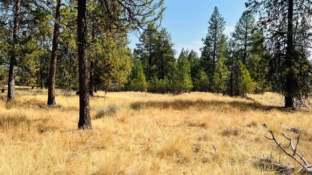 $75,000 | Xxx West Brooks Road, Medical Lake, WA 99022