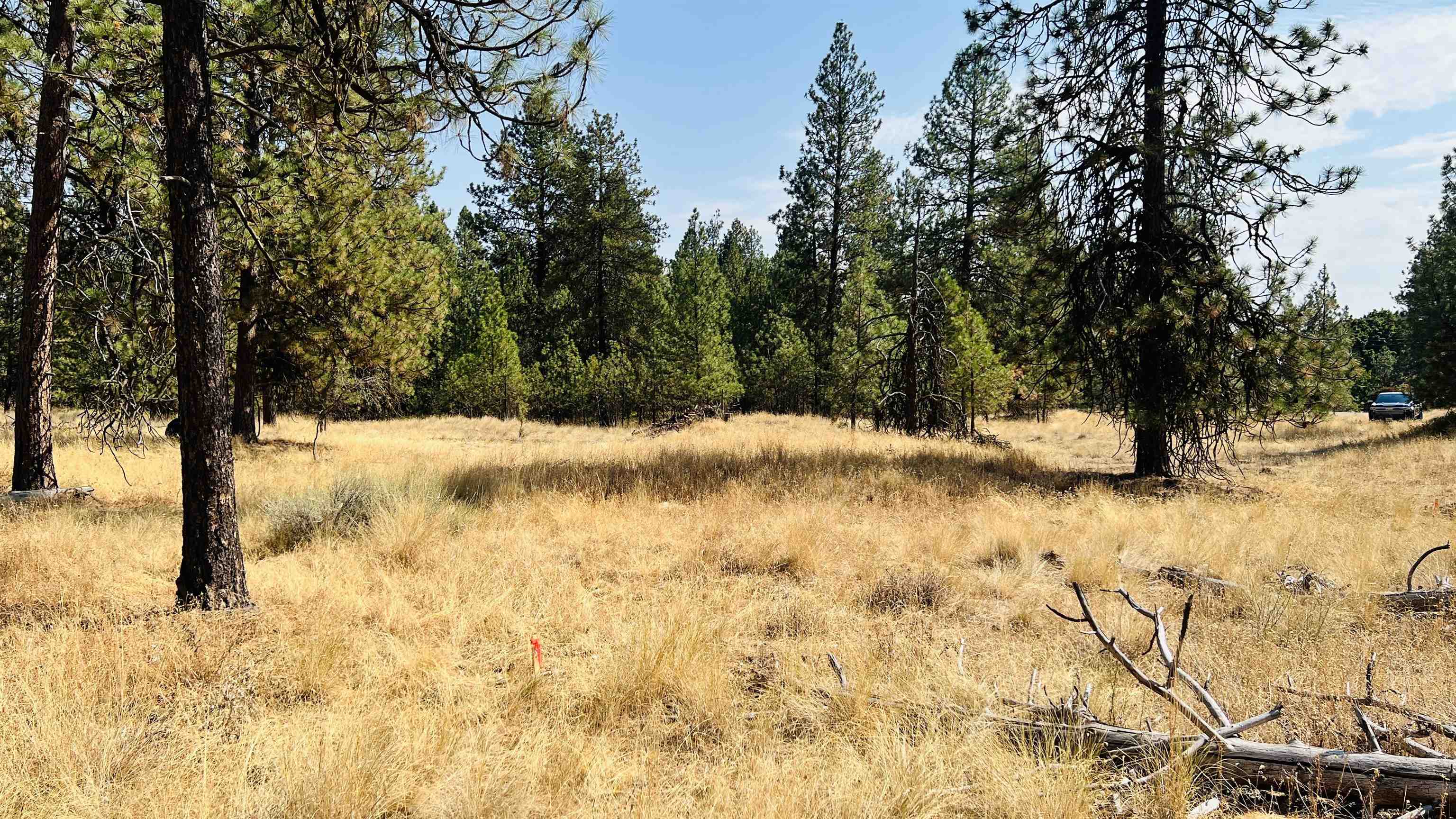 Xxx West Brooks Road Medical Lake, WA 99022 - Photo 4 of 14