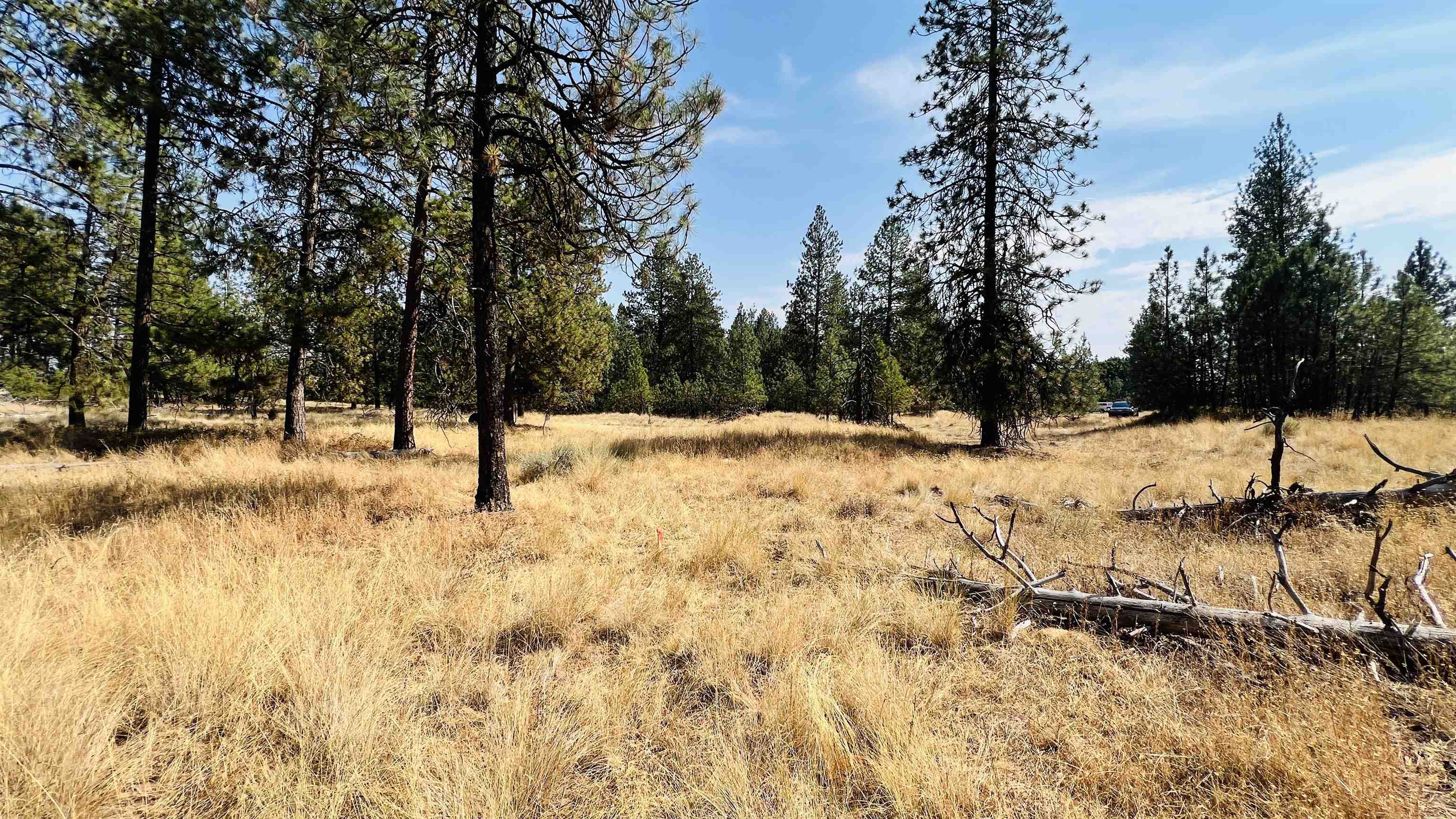 Xxx West Brooks Road Medical Lake, WA 99022 - Photo 5 of 14