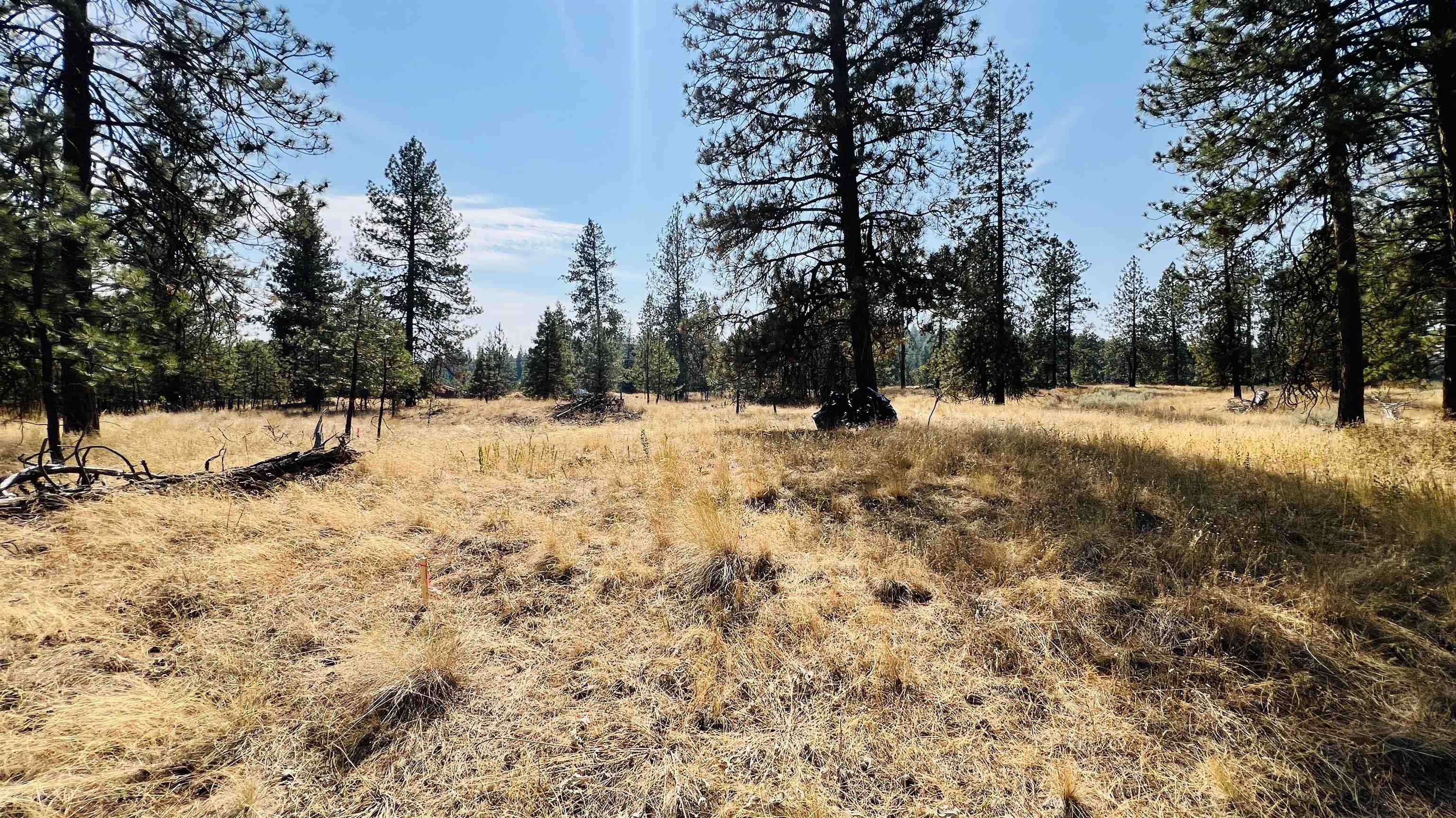 Xxx West Brooks Road Medical Lake, WA 99022 - Photo 6 of 14