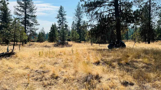 $75,000 | Xxx West Brooks Road, Medical Lake, WA 99022