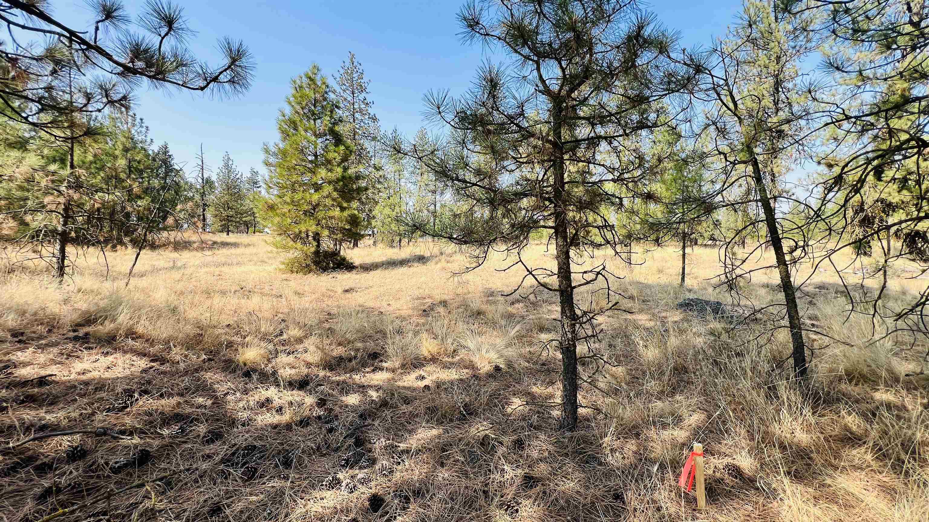 Xxx West Brooks Road Medical Lake, WA 99022 - Photo 9 of 14