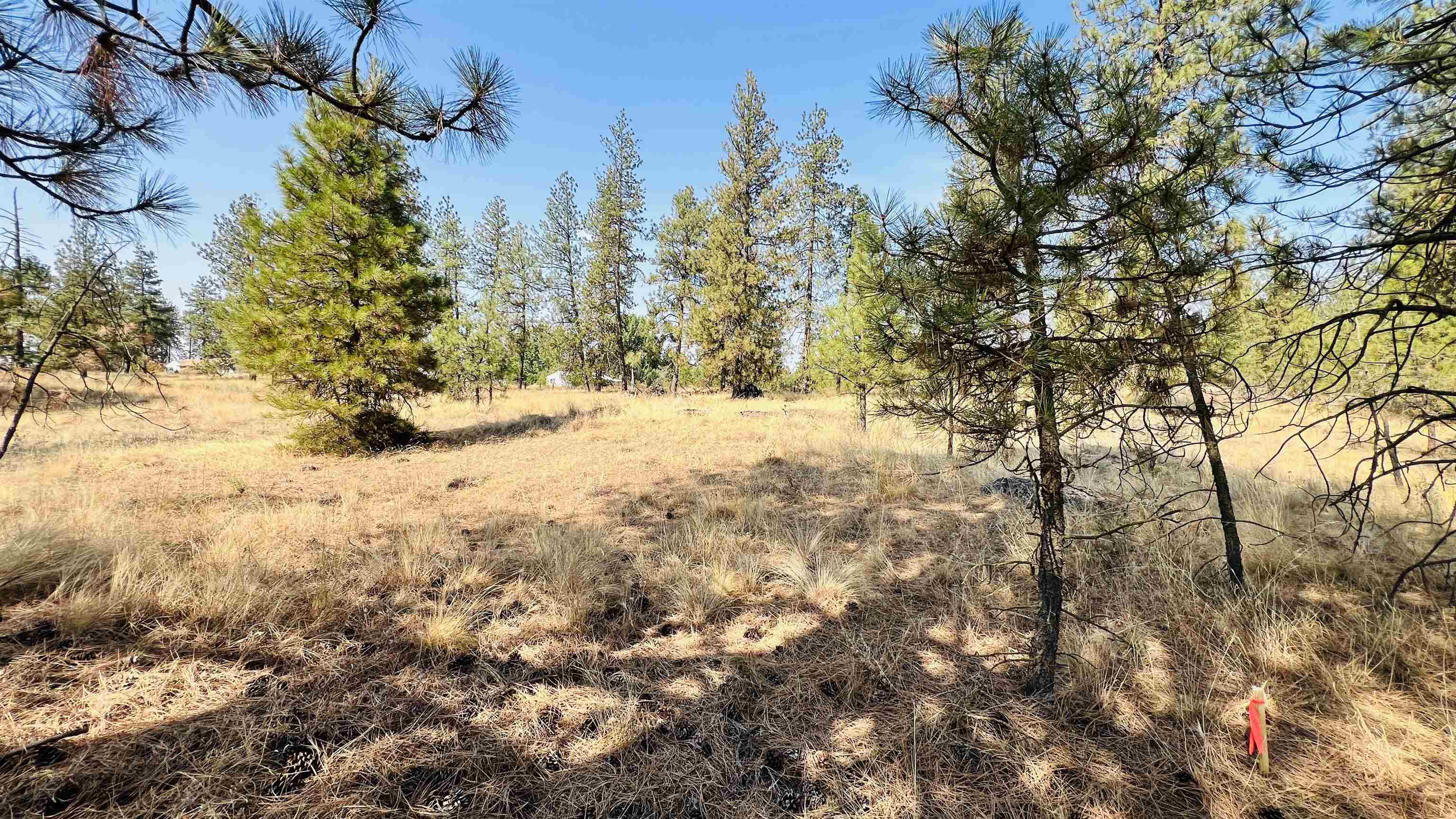Xxx West Brooks Road Medical Lake, WA 99022 - Photo 10 of 14