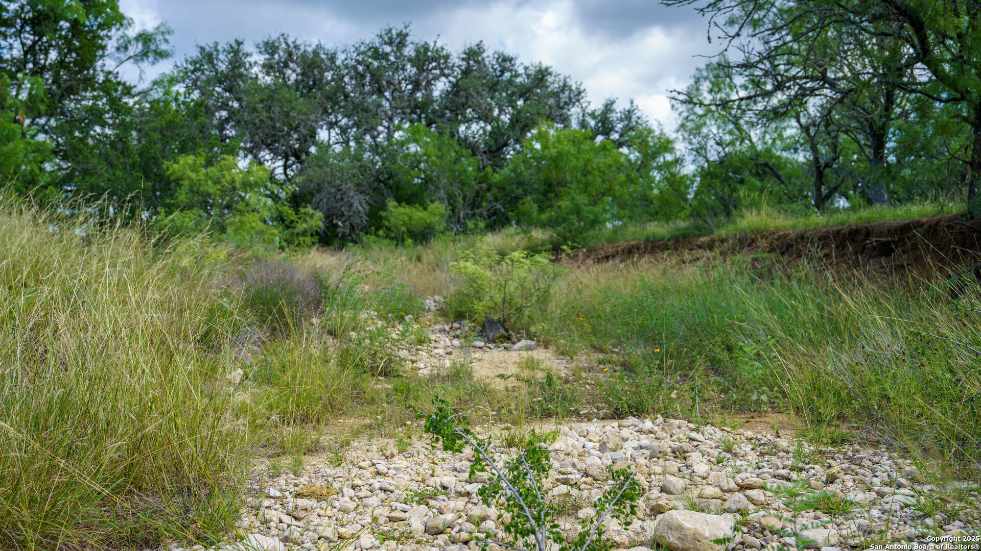 1231 B & R Road Vanderpool, TX 78885 - Photo 12 of 26 a view of a garden with a lake