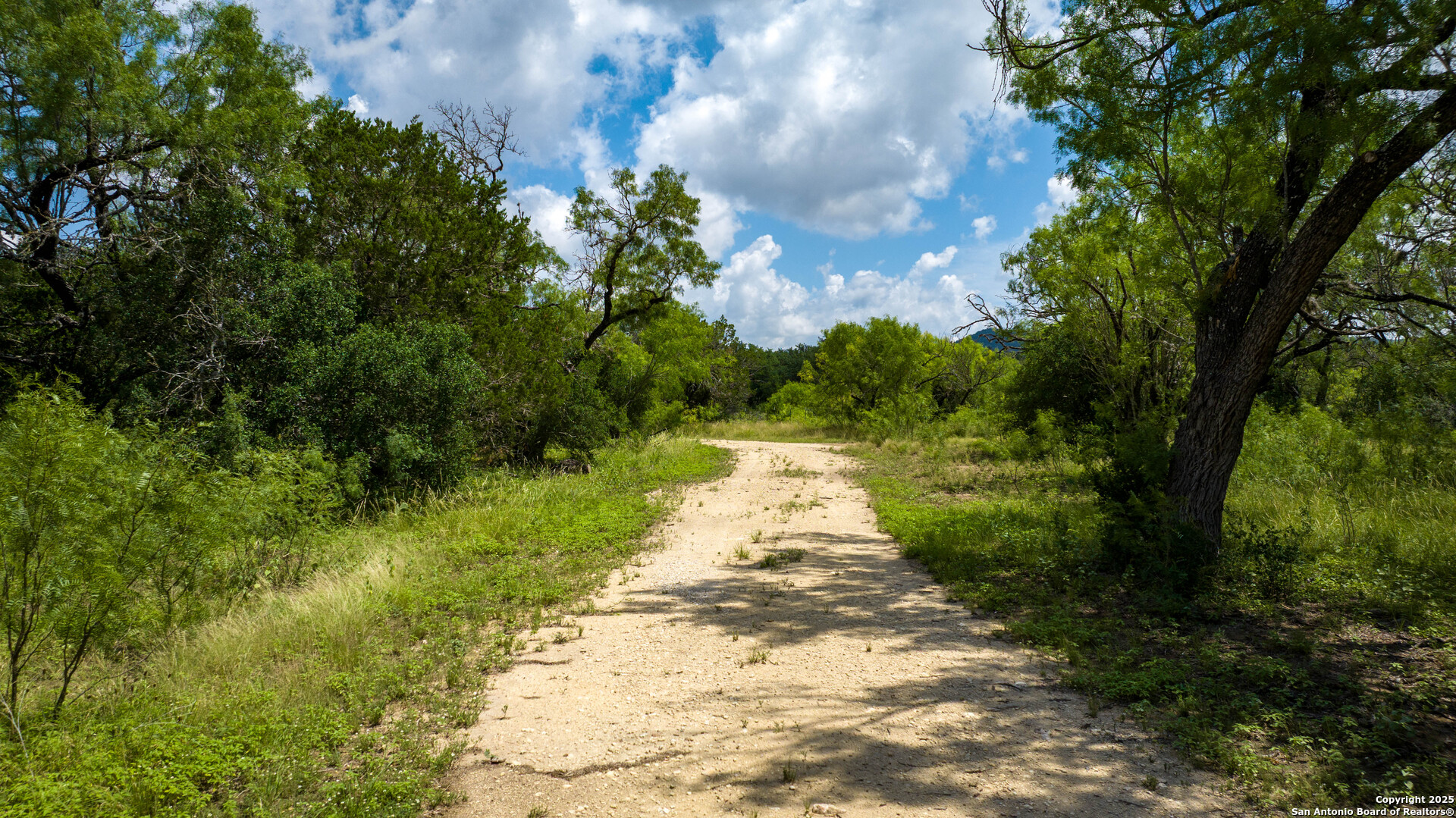 1231 B & R Road Vanderpool, TX 78885 - Photo 13 of 26 a view of a pathway with a yard