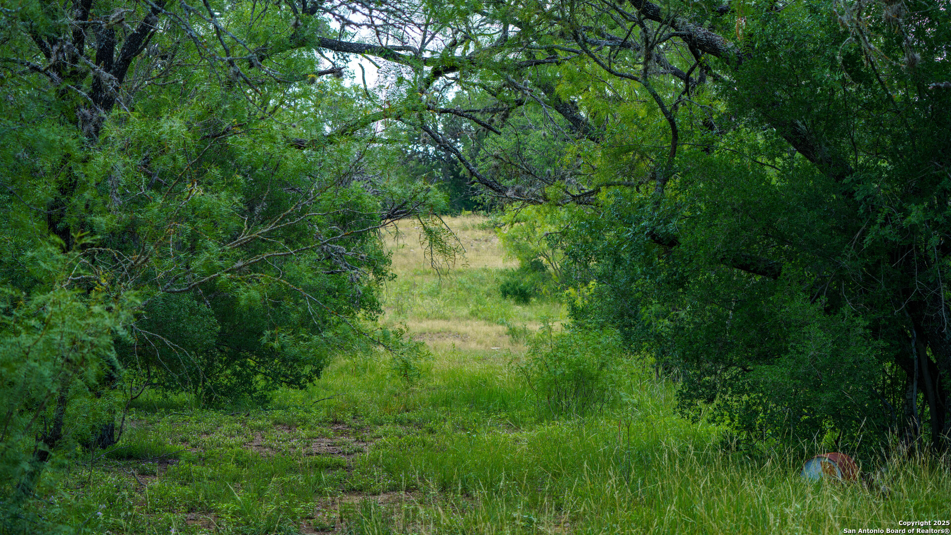 1231 B & R Road Vanderpool, TX 78885 - Photo 15 of 26 a view of a lush green space