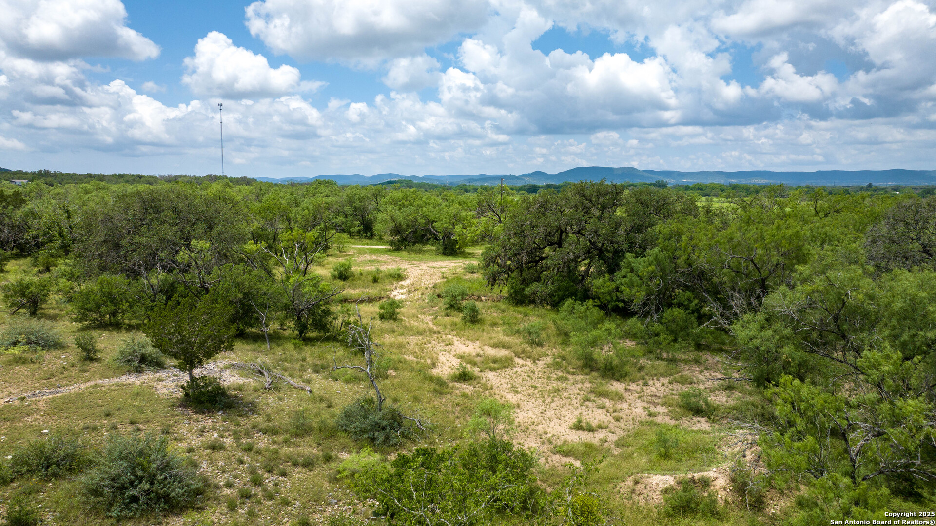 1231 B & R Road Vanderpool, TX 78885 - Photo 16 of 26 a view of a bunch of trees