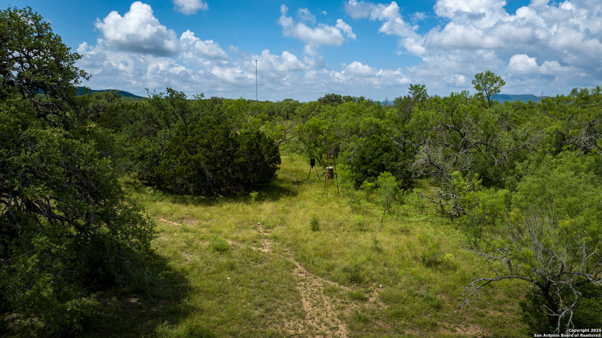 1231 B & R Road Vanderpool, TX 78885 - Photo 17 of 26 a view of a garden