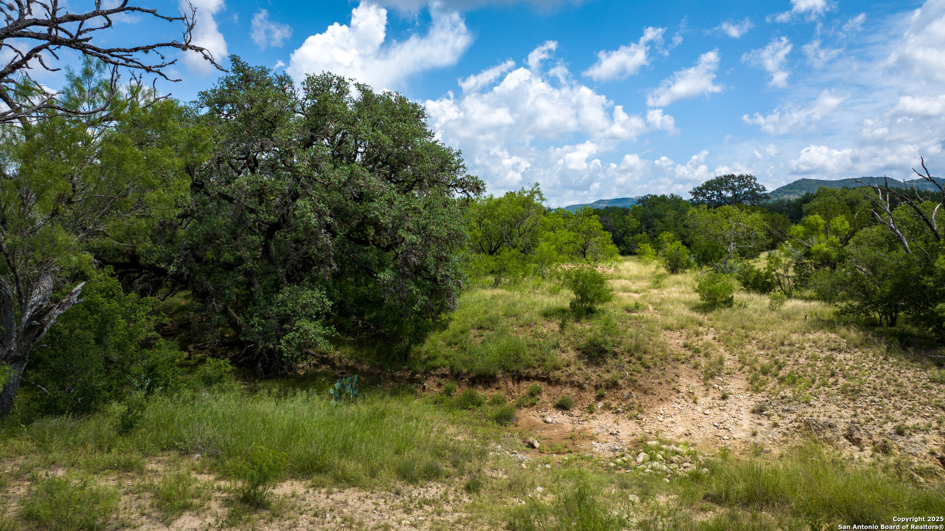 1231 B & R Road Vanderpool, TX 78885 - Photo 24 of 26 a view of a lake