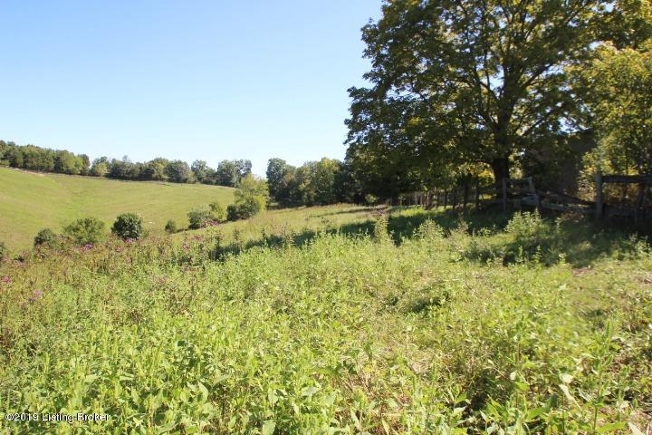 1230 Mays Road Lawrenceburg, KY 40342 - Photo 16 of 31 16