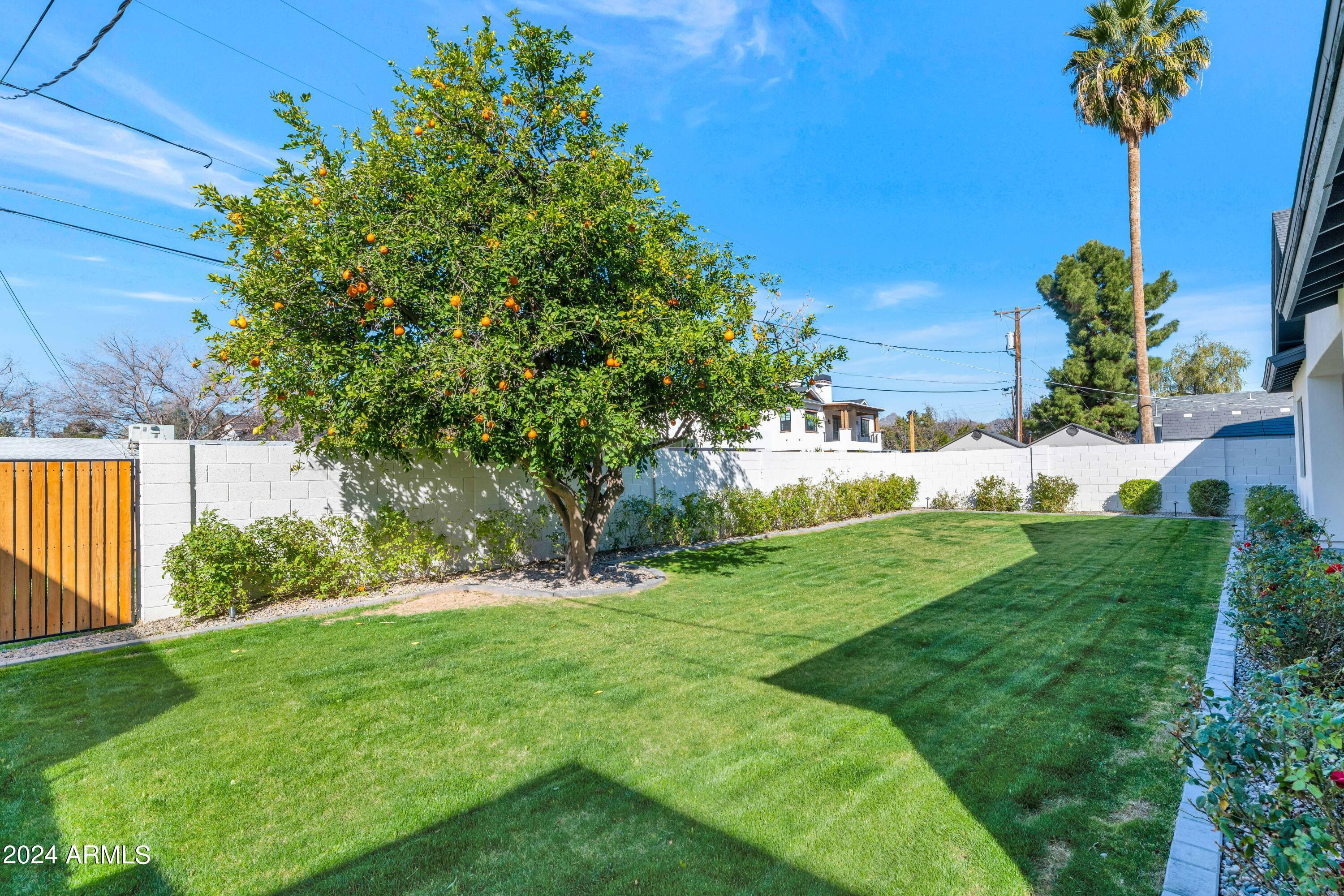 4518 North 39th Street Phoenix, AZ 85018 - Photo 29 of 30 Photo #29