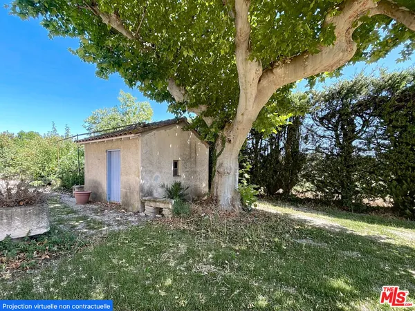 a backyard of a house with plants and large tree