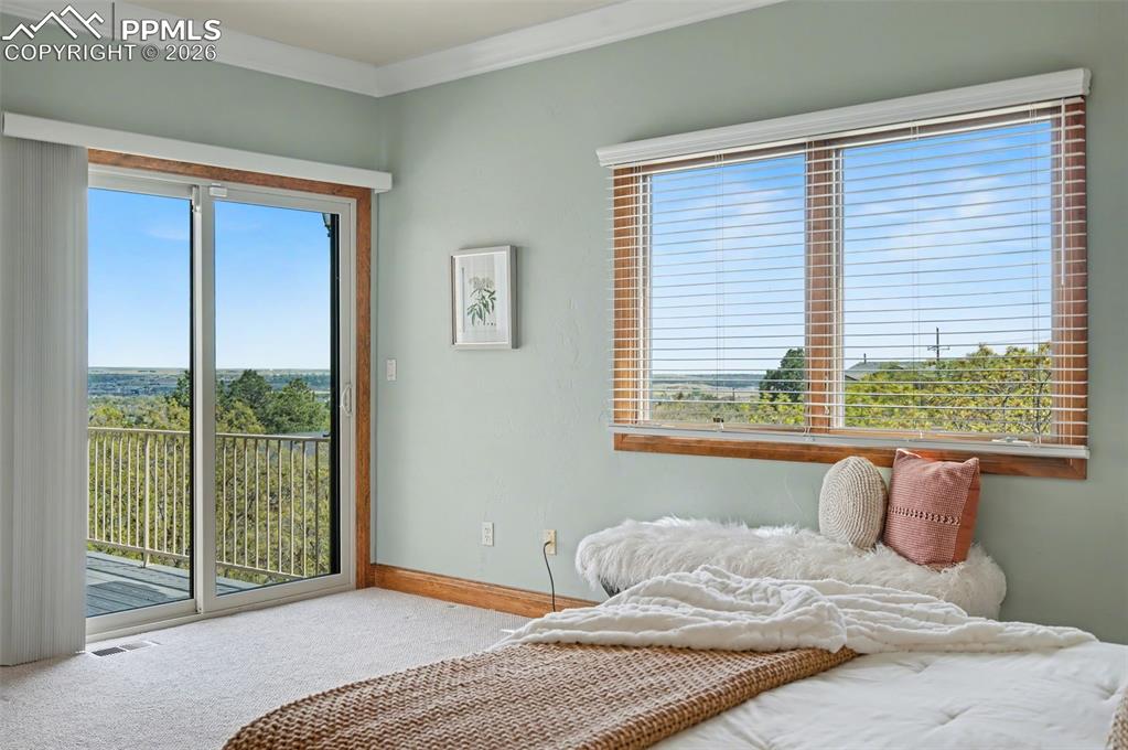 4215 Star Ranch Road Colorado Springs, CO 80906 - Photo 26 of 44 a bed sitting in a bedroom next to a window
