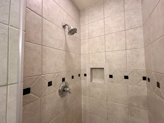 a close up of a plant in a garden