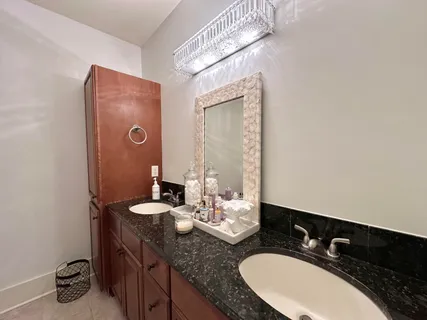 a close up of a plant in a garden