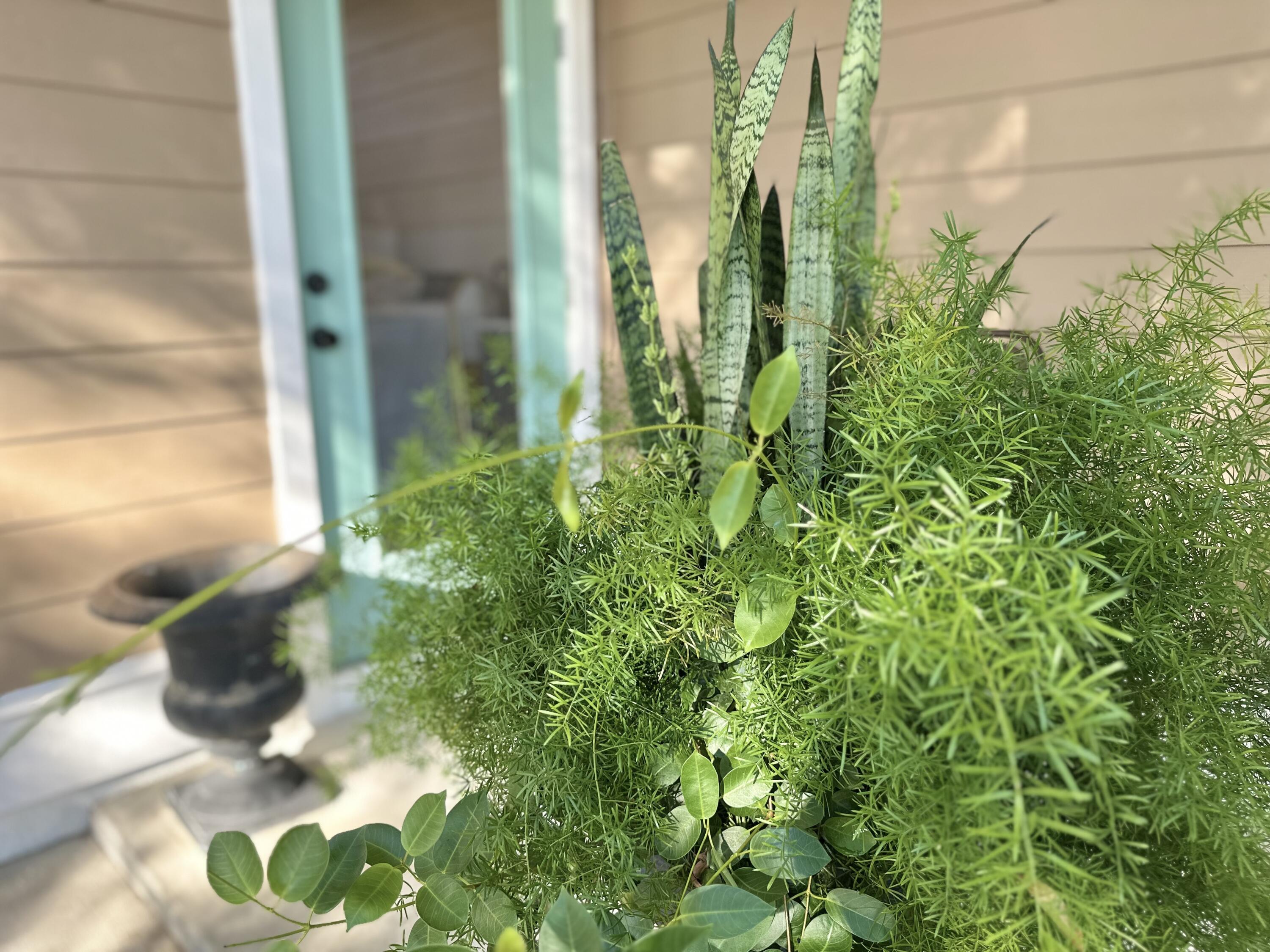 786 Symphony Way Freeport, FL 32439 - Photo 47 of 63 786 Symphony Way, Freeport FL