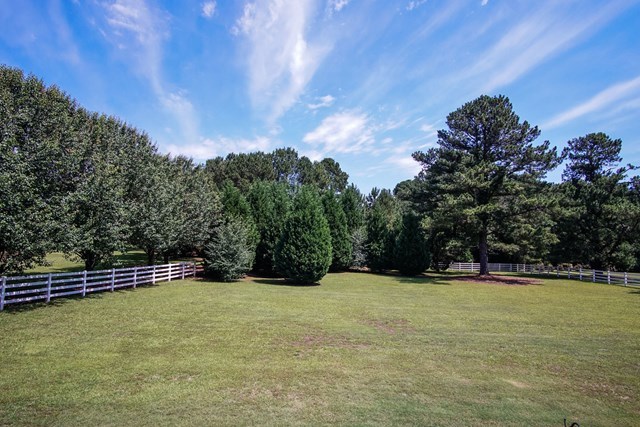 112 Pate Road Macon, GA 31210 - Photo 21 of 24 a view of outdoor space with garden and trees