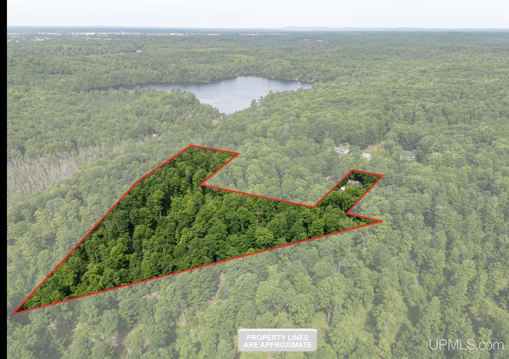 1658 Engman Lake Road Skandia, MI 49885 - Photo 39 of 50