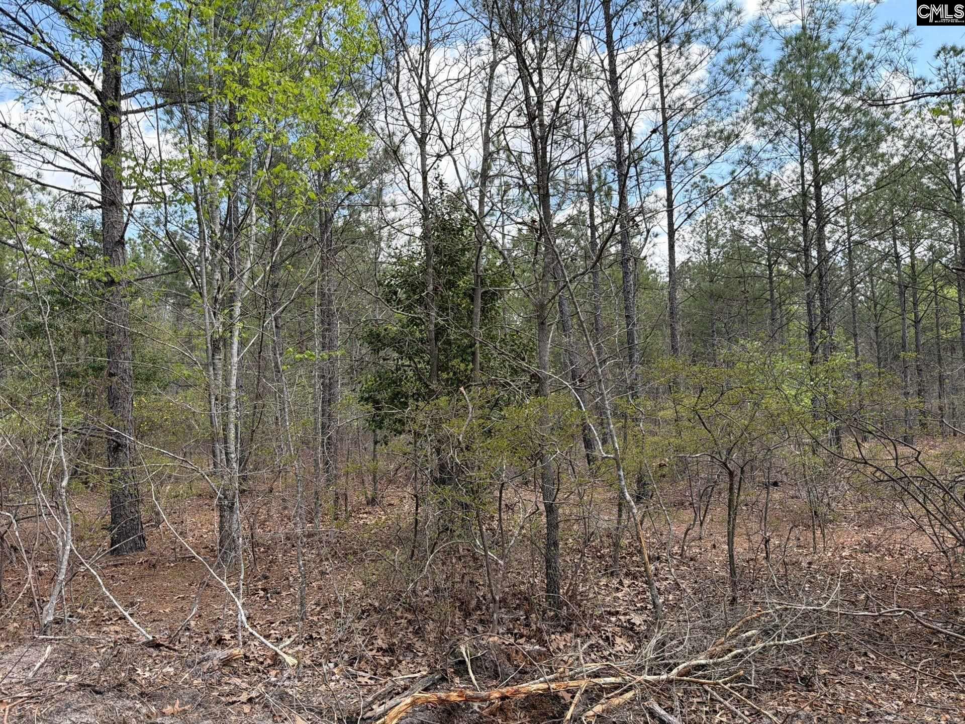 4 Mt Calvary Rd Ridge Spring Ridge Spring, SC 29129 - Photo 12 of 40