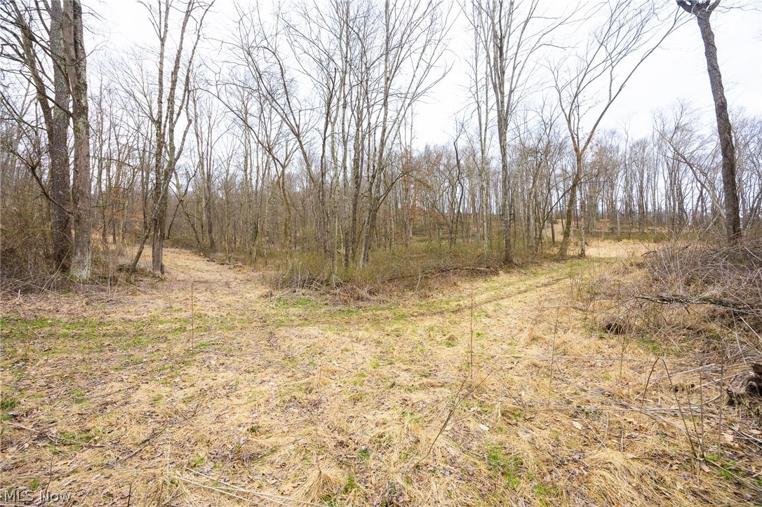71 Township Road Killbuck, OH 44637 - Photo 11 of 39