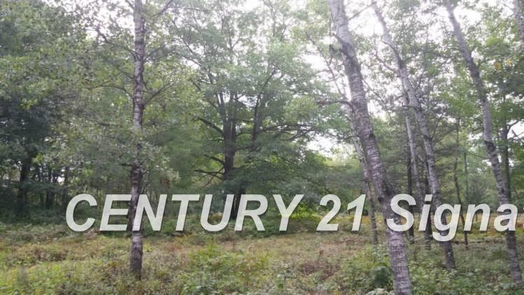 West Huron Road Au Gres, MI 48703 - Photo 14 of 21