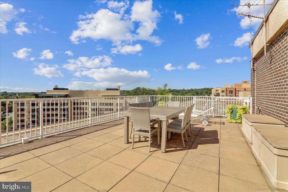 2501 Calvert Street Northwest, Unit 804 Washington, DC 20008 - Photo 40 of 45 Roof deck view